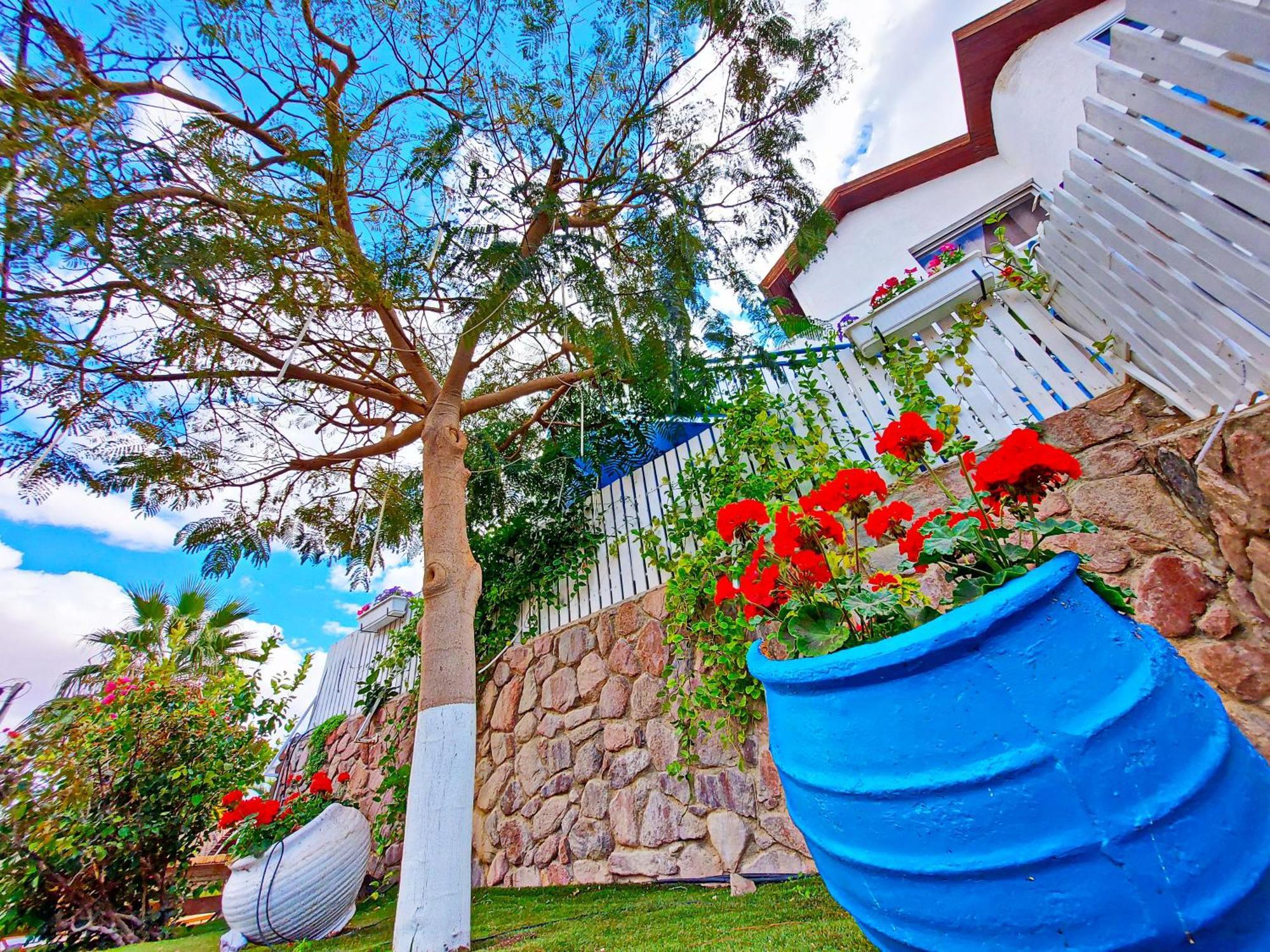 דאוס האוס - דירות אירוח מודרניות ושקטות Eilat Exterior photo